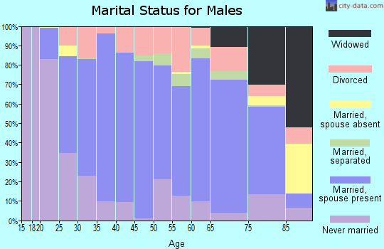 Zip code 14895 marital status for males