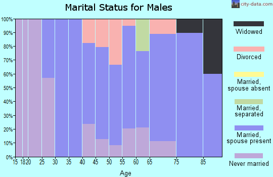 Zip code 14897 marital status for males