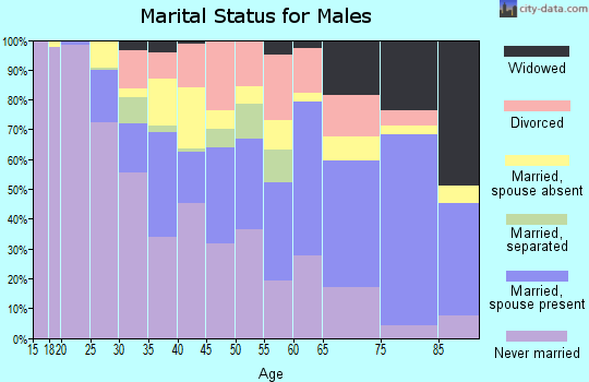 Zip code 14901 marital status for males