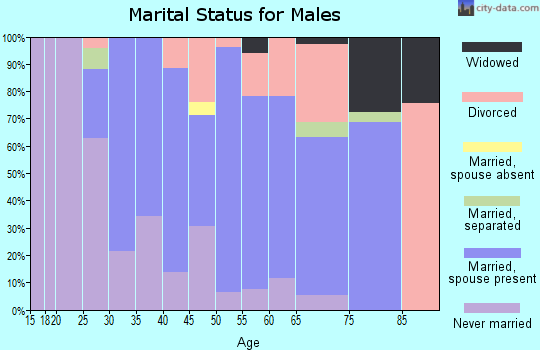 Zip code 14903 marital status for males