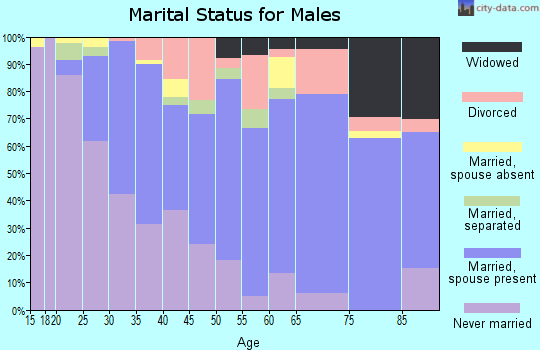 Zip code 14904 marital status for males