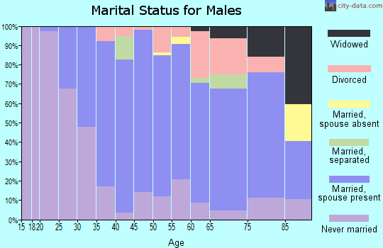 Zip code 14905 marital status for males