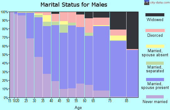 Zip code 15001 marital status for males
