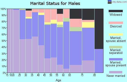 Zip code 15003 marital status for males