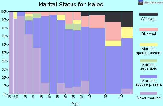 Zip code 15005 marital status for males