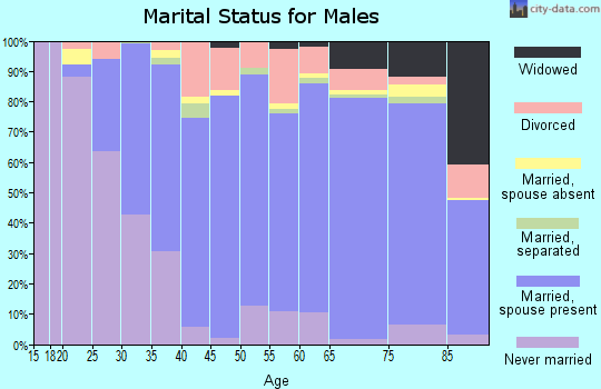 Zip code 15009 marital status for males