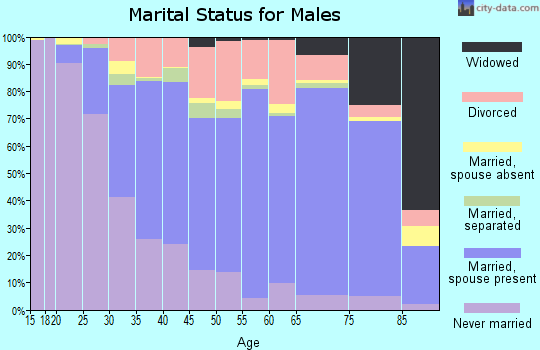 Zip code 15010 marital status for males