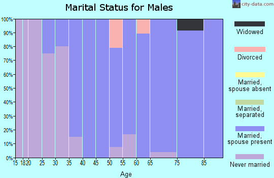 Zip code 15015 marital status for males