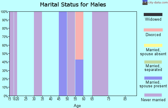 Zip code 15020 marital status for males