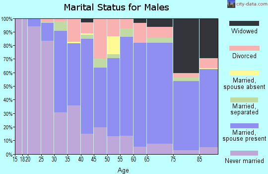 Zip code 15022 marital status for males