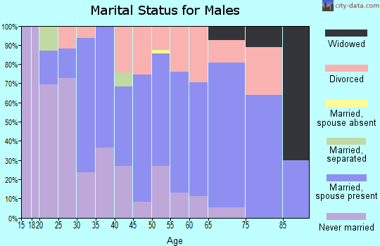 Zip code 15027 marital status for males