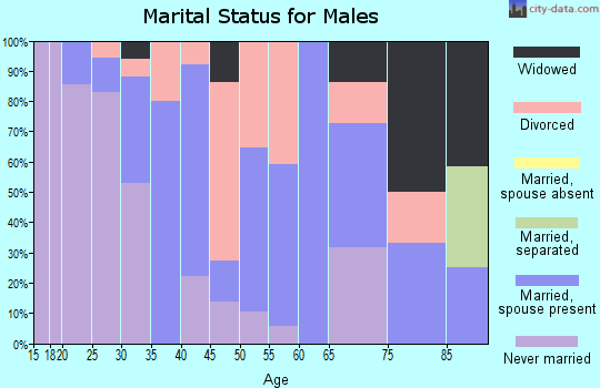 Zip code 15030 marital status for males