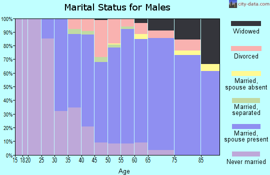 Zip code 15037 marital status for males