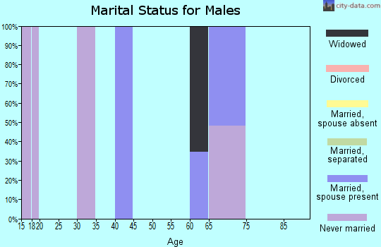 Zip code 15038 marital status for males