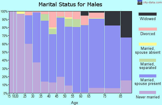 Zip code 15042 marital status for males