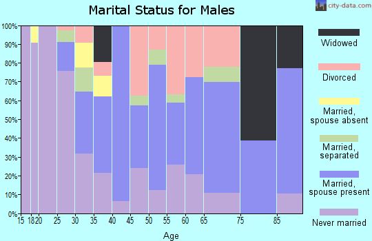 Zip code 15045 marital status for males
