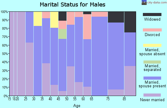 Zip code 15046 marital status for males