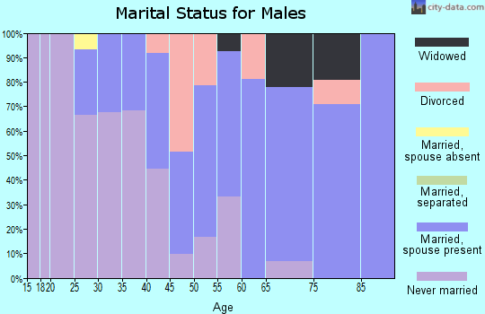 Zip code 15049 marital status for males