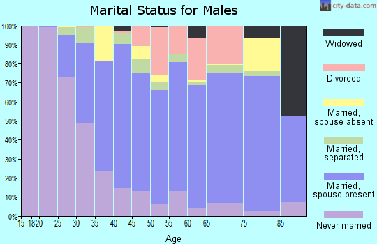 Zip code 15071 marital status for males