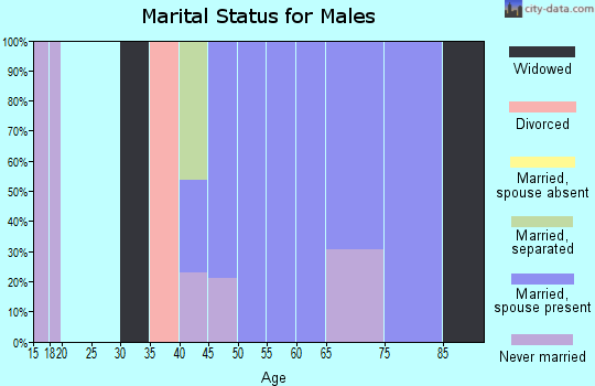 Zip code 15076 marital status for males