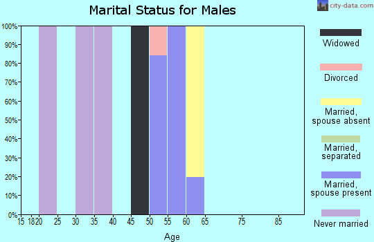 Zip code 15078 marital status for males