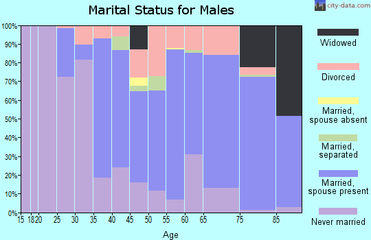 Zip code 15084 marital status for males
