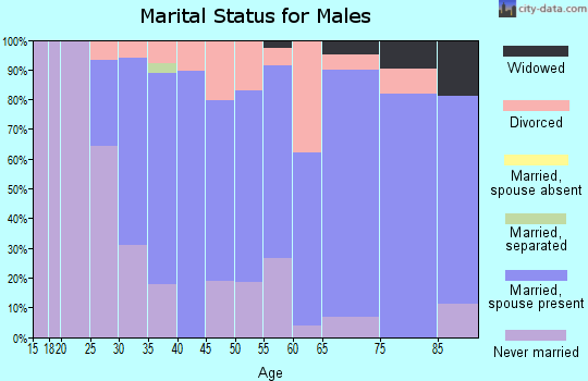 Zip code 15085 marital status for males