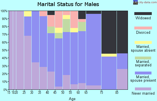Zip code 15089 marital status for males