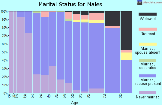 Zip code 15101 marital status for males