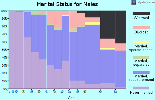 Zip code 15106 marital status for males