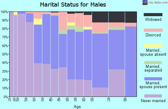 Zip code 15120 marital status for males