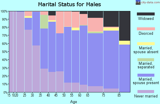 Zip code 15122 marital status for males