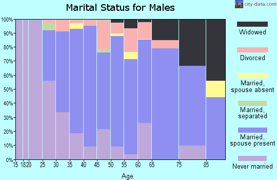 Zip code 15129 marital status for males