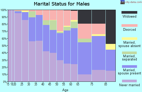 Zip code 15132 marital status for males