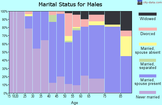 Zip code 15139 marital status for males