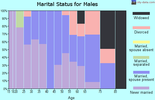 Zip code 15140 marital status for males