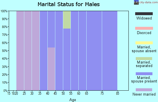 Zip code 15142 marital status for males