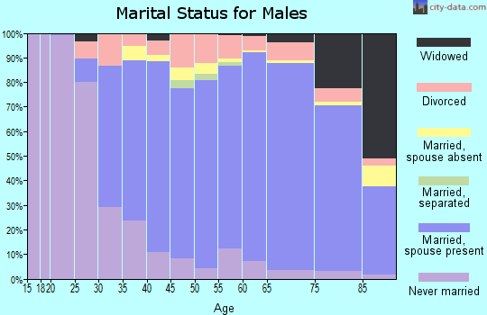 Zip code 15143 marital status for males
