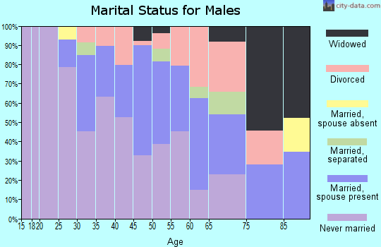Zip code 15148 marital status for males