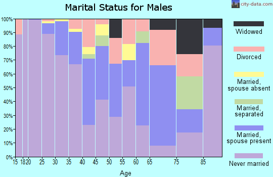 Zip code 15203 marital status for males