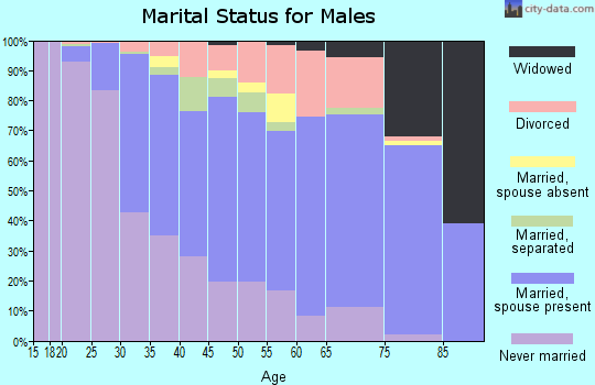 Zip code 15205 marital status