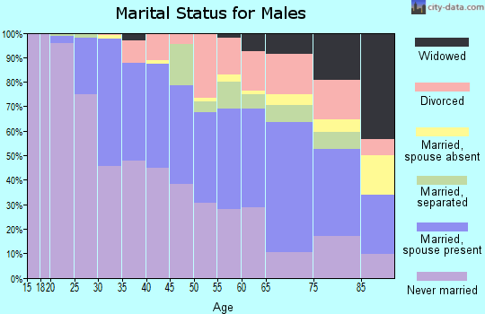 Zip code 15206 marital status for males