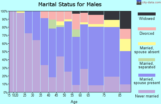 Zip code 15207 marital status for males