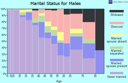 Zip code 15219 marital status for males