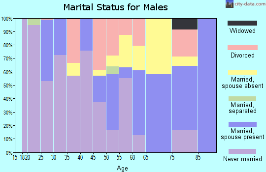 Zip code 15222 marital status for males