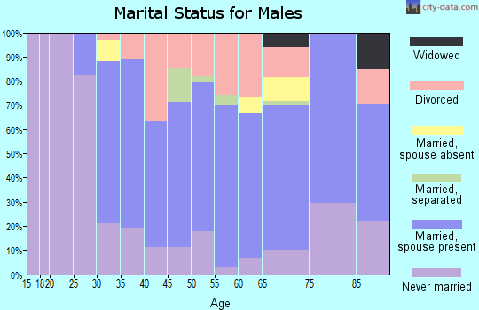 Zip code 15223 marital status for males