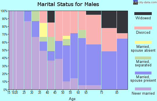 Zip code 15225 marital status for males