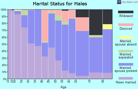 Zip code 15226 marital status for males