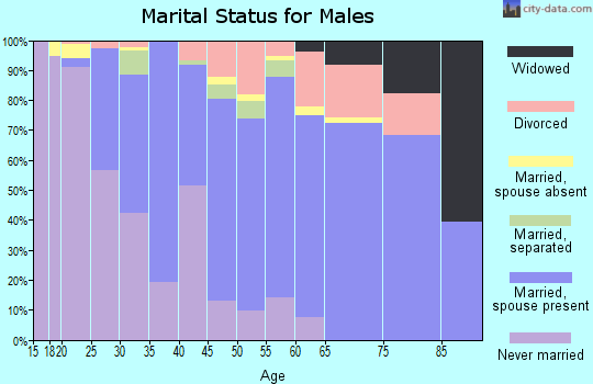 Zip code 15229 marital status for males