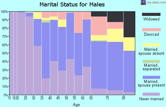 Zip code 15232 marital status for males